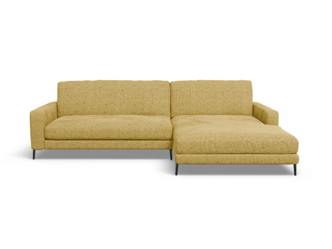 LOXL Medium R